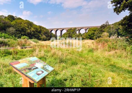 Barry, Wales - 17. August 2023: Menschen, die ihre Hunde auf einer hölzernen Promenade im Porthkerry Country Psrk in Südwales laufen lassen Stockfoto