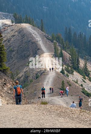 Golden, British Columbia, Kanada – 06. August 2023: Wanderer wandern auf einem hügeligen Bergpfad Stockfoto