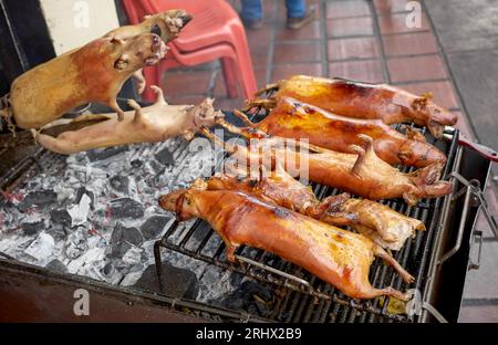 Nahaufnahme von gerösteten Meerschweinchen auf einem Grill, selektiver Fokus, Banos, Ecuador. Stockfoto