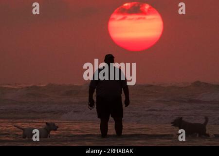 Isle Of Palms, Vereinigte Staaten. August 2023. Ein Strandgänger beobachtet seine Hunde beim Spielen im Wasser, während die Sonne über dem Atlantik an einem heißen und feuchten Tag in Charleston am 19. August 2023 in Isle of Palms, South Carolina, aufgeht. Quelle: Richard Ellis/Richard Ellis/Alamy Live News Stockfoto