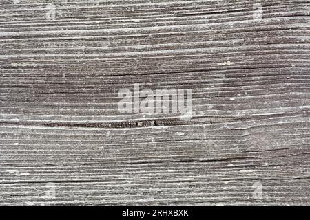 Textur von altem Brett mit Körnung und Knoten Stockfoto
