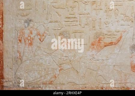 Ägypten, Sakkara, Grab von Ankhmahor, Metzgerei. Stockfoto
