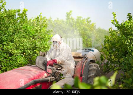 Anonymer Landwirt trägt Schutzanzug und Maske und sprüht Pestizide und Insektizide auf Zitronenbäume, während er Traktor auf einem ökologischen Landwirtschaftsbetrieb fährt Stockfoto