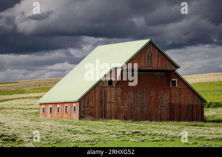 Scheune mit Heuboden inmitten einer Weide mit Wildblumen im Spätfrühling. Latah County, Idaho, USA. Stockfoto