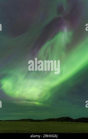 Spektakuläre Landschaft mit grünen Nordlichtern, die den dunklen Himmel über grünen Wiesen und Bergen erleuchten Stockfoto