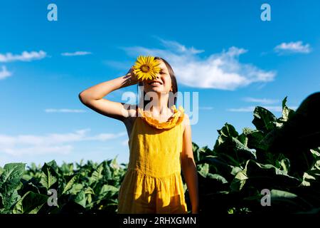 Glückliches kaukasisches junges Mädchen, gekleidet in gelben Casuals, das Gesicht mit wunderschöner Sonnenblume versteckt, während es inmitten von Pflanzen auf dem Bauernhof steht Stockfoto