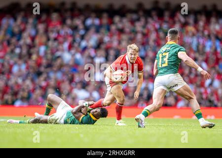 Principality Stadium, Cardiff, Großbritannien. August 2023. Summer Rugby International, Wales versus Südafrika; Sam Costelow of Wales wird angegriffen Credit: Action Plus Sports/Alamy Live News Stockfoto