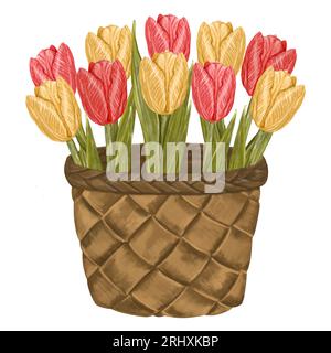 Aquarellkorb mit Tulpen gelb und rosa. Blumenanordnung isoliert Hand gezeichnete Illustration im Landhausstil. Für Grußkarten, Einladungen usw. Stockfoto