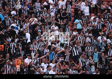 Sao Paulo, Brasilien. August 2023. SP - SAO PAULO - 08/19/2023 - BRAZILEIRO A 2023, SAO PAULO X BOTAFOGO - BOTAFOGO-Fans während eines Spiels gegen Sao Paulo im Morumbi-Stadion für die brasilianische Meisterschaft A 2023. Foto: Ettore Chiereguini/AGIF/SIPA USA Credit: SIPA USA/Alamy Live News Stockfoto