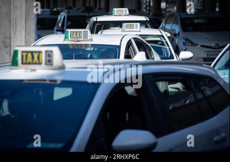 Leere Taxis vor dem T3-Terminal am Aeropuerto Adolfo Suárez-Madrid Barajas (Flughafen) Code: MAD, nordöstlich von Madrid, der spanischen Hauptstadt. Stockfoto