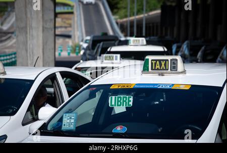 Leere Taxis vor dem T3-Terminal am Aeropuerto Adolfo Suárez-Madrid Barajas (Flughafen) Code: MAD, nordöstlich von Madrid, der spanischen Hauptstadt. Stockfoto