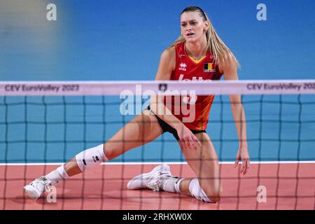 Gent, Belgien. August 2023. Der Belgier Britt Herbots reagiert auf ein Volleyballspiel zwischen Slowenien und der belgischen Volleyballnationalmannschaft Yellow Tigers in der Gruppenphase der Europameisterschaft der Frauen 2023, Samstag, den 19. August 2023 in Gent. Die Europameisterschaften der Frauen 2023 finden vom 15. August bis 3. September statt. BELGA PHOTO LAURIE DIEFFEMBACQ Credit: Belga News Agency/Alamy Live News Stockfoto