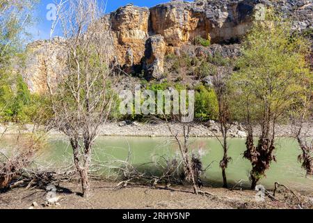 Naturpark Hoces del Rio Duraton (Parque Natural de las Hoces del Río Duratón) mit senkrechten Kalkfelsen mit Schichten, gewundenen Fluss und üppig Stockfoto