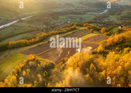 Herbstgras und alte Blätter brennen im Herbst im Feuer auf landwirtschaftlichen Feldern Stockfoto