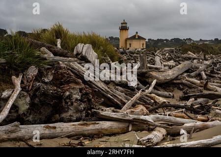 Driftwood stapelt sich am Bullards Beach in Bandon, Oregon, mit dem Coquille Lighthouse im Hintergrund. Stockfoto