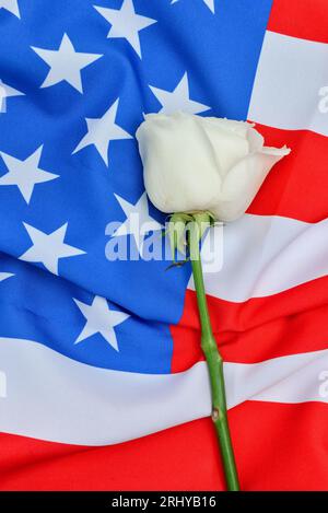 Rose Blume auf der Flagge der USA als Hintergrund. Nationaler Tag des Gebets und der Erinnerung an die Opfer der Terroranschläge Stockfoto