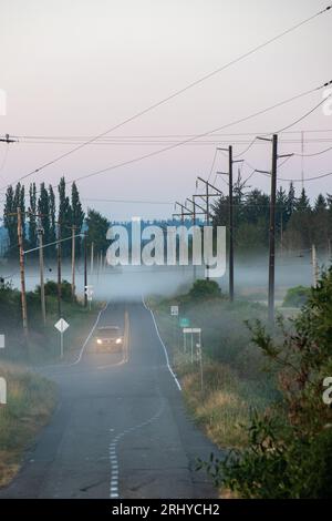 Das Auto fährt durch nebligen Nebel auf Snohomish nach Everett - Homeacres Road in Washington State Stockfoto