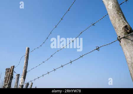 Zaun mit Holzpfosten und Stacheldraht in der Landschaft an einem sonnigen Frühlingstag mit blauem Himmel Stockfoto