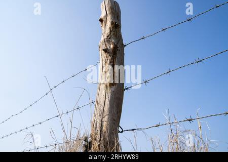 Zaun mit Holzpfosten und Stacheldraht in der Landschaft an einem sonnigen Frühlingstag mit blauem Himmel Stockfoto