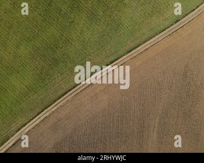 Drohnenansicht einer unbefestigten Straße zwischen einem gepflügten Schmutzfeld und einem grünen Ackerfeld auf dem Land im Frühjahr Stockfoto