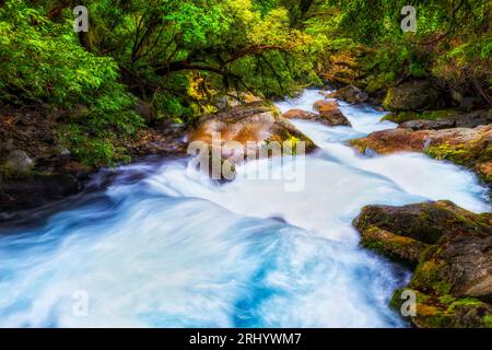 Lake Marian Track Marian fällt in den malerischen üppigen Regenwald von Neuseeland South Island am Milford Sound. Stockfoto