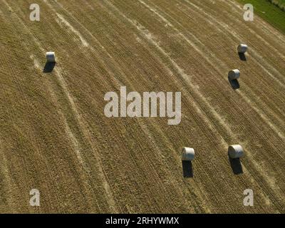 Luftaufnahme von Heuballen auf dem Feld an einem sonnigen Frühlingstag Stockfoto