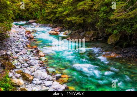 Malerischer Lake Marian Walking Track in Fiordland Milford Soound Gegend von South Island, Neuseeland. Stockfoto