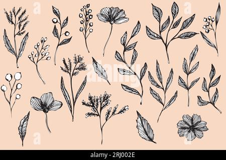 Botanische Sammlung. Blumen, Äste und Blätter. Satz von Vektorbildern, handgezeichnet, mit Umrissen im Doodle-Stil. Designelemente für Tätowierungen Stock Vektor