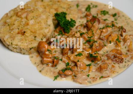 Pfifferlinge a la Creme und Brotknödel oder Eierschwammerl-Sauce mit Semmelknoedel nach österreichischer Art Stockfoto