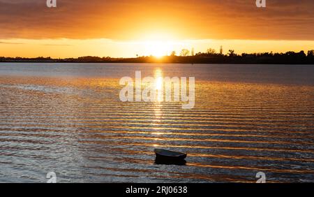 Goldener Sonnenaufgang über dem Hafen mit einem kleinen Boot in Silhouette, Tauranga Neuseeland. Stockfoto