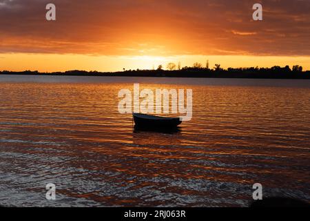 Goldener Sonnenaufgang über dem Hafen mit einem kleinen Boot in Silhouette, Tauranga Neuseeland. Stockfoto