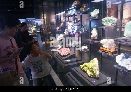 Hangzhou, Chian. August 2023. HANGZHOU, CHINA - 20. AUGUST 2023 - Besucher und Eltern schauen sich verschiedene Mineralproben im geologischen Museum der Provinz Zhejiang in Hangzhou, Provinz Zhejiang, China, 20. August 2023 an. (Foto von Costfoto/NurPhoto) Credit: NurPhoto SRL/Alamy Live News Stockfoto