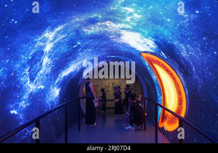 Hangzhou, Chian. August 2023. HANGZHOU, CHINA - 20. AUGUST 2023 - Besucher und Eltern betreten den Geologischen Zeittunnel im Geologischen Museum der Provinz Zhejiang in Hangzhou, Provinz Zhejiang, China, 20. August 2023. (Foto von Costfoto/NurPhoto) Credit: NurPhoto SRL/Alamy Live News Stockfoto