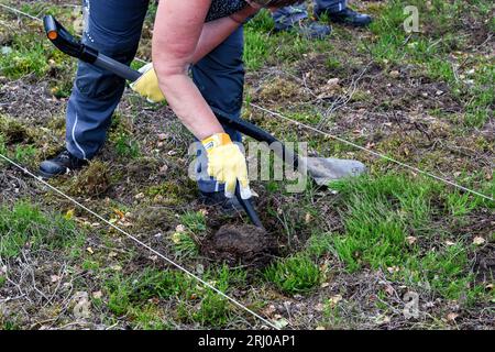 Neuglienicke, Deutschland. August 2023. Ein Munitionsretter arbeitet an der Sprengstoffentsorgung auf dem ehemaligen militärischen Trainingsgelände in Kyritz-Ruppiner Heide. Insbesondere die verbotene Streumunition wird im Ex-Bombodrom abgeräumt. Quelle: Jens Kalaene/dpa/Alamy Live News Stockfoto