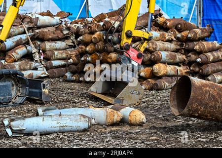 Neuglienicke, Deutschland. August 2023. Munition aus russischer Produktion ist auf dem ehemaligen militärischen Trainingsgelände in Kyritz-Ruppiner Heide zu sehen. Die Munitionsrettungsoperation hier räumt vor allem die verbotene Streumunition auf dem Ex-Bombodrom ab. Quelle: Jens Kalaene/dpa/Alamy Live News Stockfoto