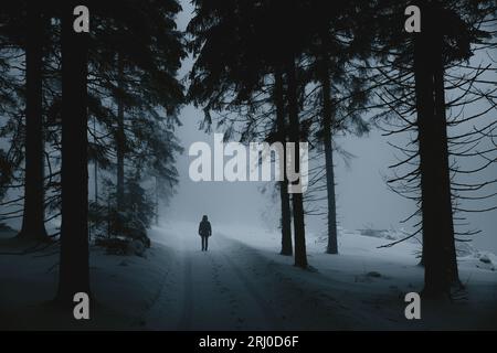 Silhouette einer Frau in schneebedecktem Nebelwald Stockfoto