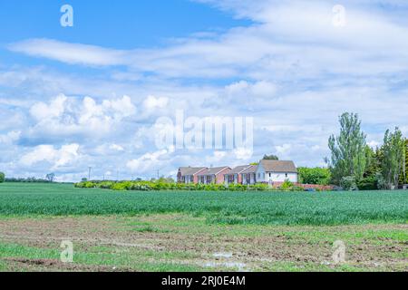 Field in Comberton, Cambridgeshire, wo 200 Altersheime gebaut werden sollen - 18. Mai 2021 Stockfoto