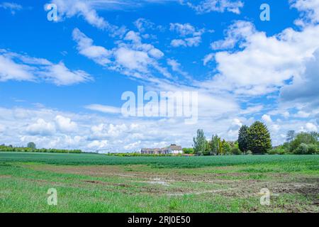 Field in Comberton, Cambridgeshire, wo 200 Altersheime gebaut werden sollen - 18. Mai 2021 Stockfoto