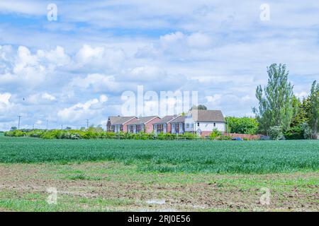 Field in Comberton, Cambridgeshire, wo 200 Altersheime gebaut werden sollen - 18. Mai 2021 Stockfoto