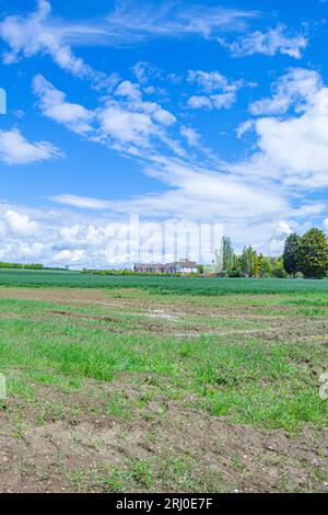 Field in Comberton, Cambridgeshire, wo 200 Altersheime gebaut werden sollen - 18. Mai 2021 Stockfoto