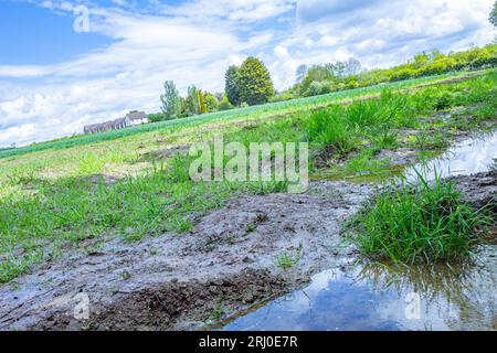 Field in Comberton, Cambridgeshire, wo 200 Altersheime gebaut werden sollen - 18. Mai 2021 Stockfoto