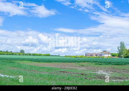 Field in Comberton, Cambridgeshire, wo 200 Altersheime gebaut werden sollen - 18. Mai 2021 Stockfoto