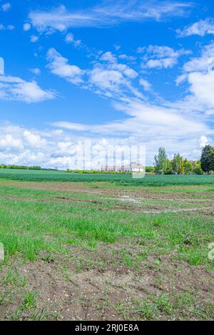 Field in Comberton, Cambridgeshire, wo 200 Altersheime gebaut werden sollen - 18. Mai 2021 Stockfoto