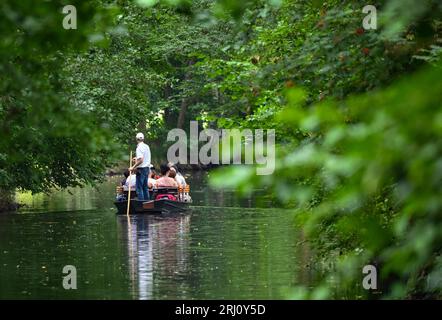 Burg, Deutschland. August 2023. Ein Fährmann fährt mit einem Lastkahn, der Touristen auf einem Fluss (Wasserstraße) im Spreewald befördert. Quelle: Patrick Pleul/dpa/Alamy Live News Stockfoto