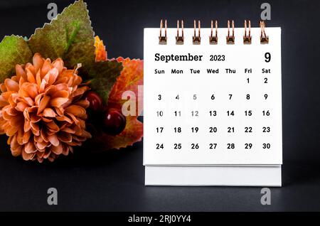 September 2023 monatlicher Schreibtischkalender für 2023 Jahre mit getrockneter Blume auf schwarzem Hintergrund. Stockfoto