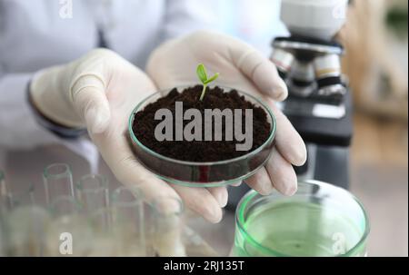 Wissenschaftler, die im Labor mit Sprossen experimentieren Stockfoto
