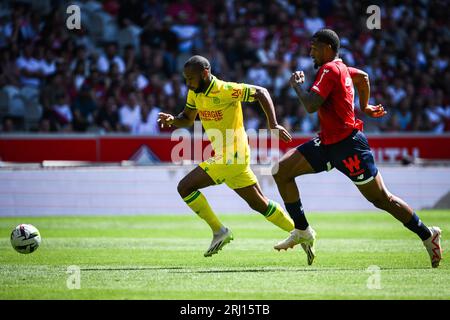 Marcus COCO von Nantes und Alexsandro VICTOR DE SOUZA RIBEIRO von Lille während des Ligue-1-Fußballspiels der französischen Meisterschaft zwischen LOSC Lille und dem FC Nantes am 20. August 2023 im Pierre Mauroy Stadion in Villeneuve-d'Ascq bei Lille, Frankreich Stockfoto