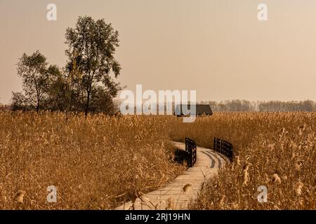 Herbst Stockfoto