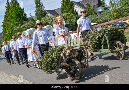 Burg, Deutschland. August 2023. Eine Jugendgruppe, teilweise in sorbisch-wendischem Kostüm, präsentiert den Brauch des Hahnenpflückens während des Festes in der Spreewaldstadt Burg. Am Nachmittag fand die große Parade zum 29. Heimat- und Trachtenfest im Spreewald statt. Quelle: Patrick Pleul/dpa/Alamy Live News Stockfoto