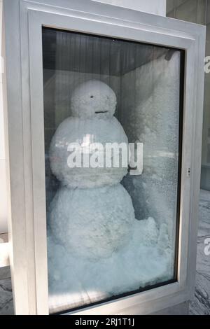 Schneemann von Peter Fischli Swiss geboren 1952 und David Weis Skulptur in einem Kühlschrank MOMA Sculture Gardens NYC New York City Stockfoto